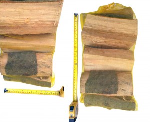 Log-net-1
